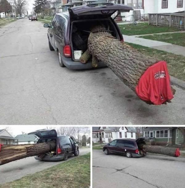 People Do Stupid Things (32 pics)