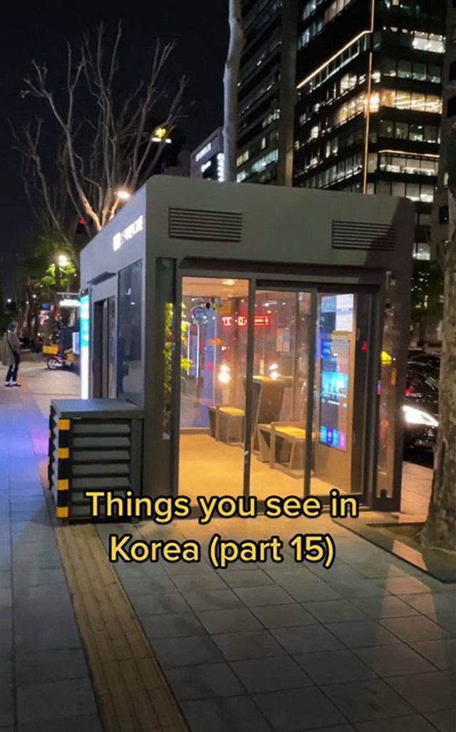 Life In South Korea (15 pics)