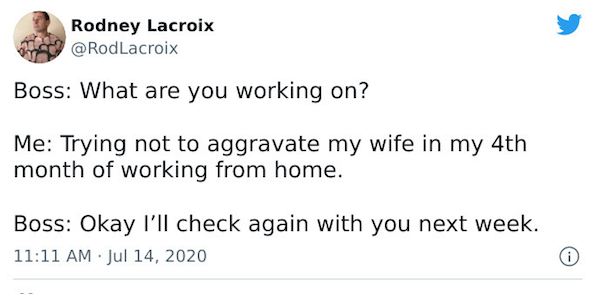 Working From Home Tweets (25 pics)