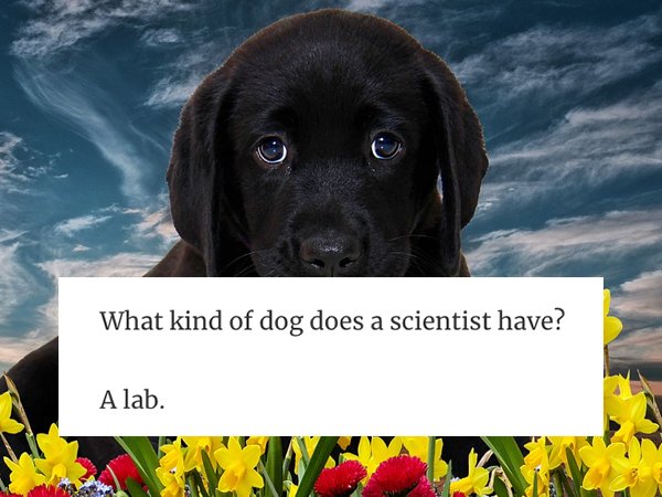 Science Jokes (29 pics)