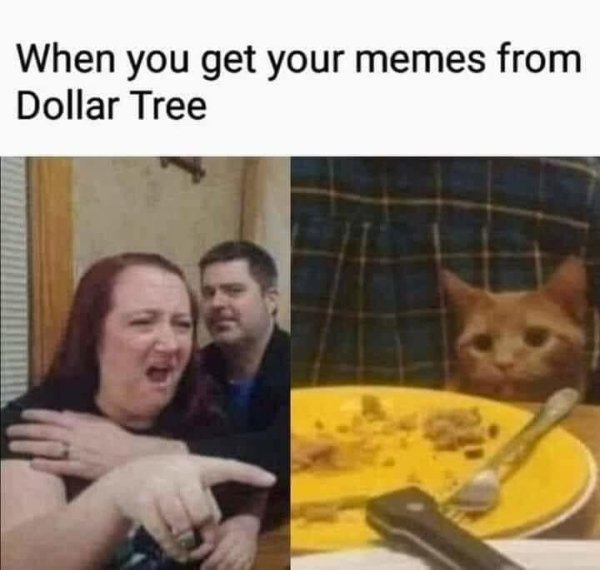 Random Funny Memes (34 pics)