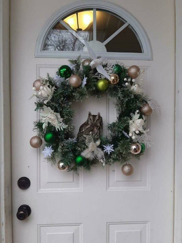 Christmas Wonders (41 pics)