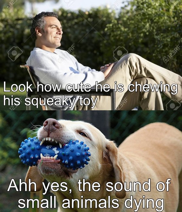 Hilarious Memes (20 pics)