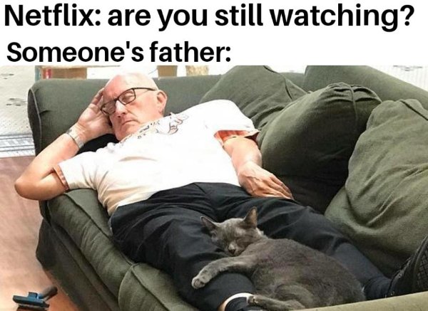 Hilarious Memes (20 pics)