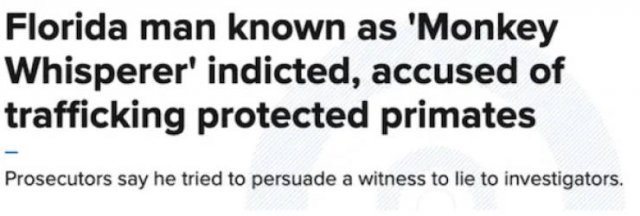 'Florida Man' Headlines (36 pics)
