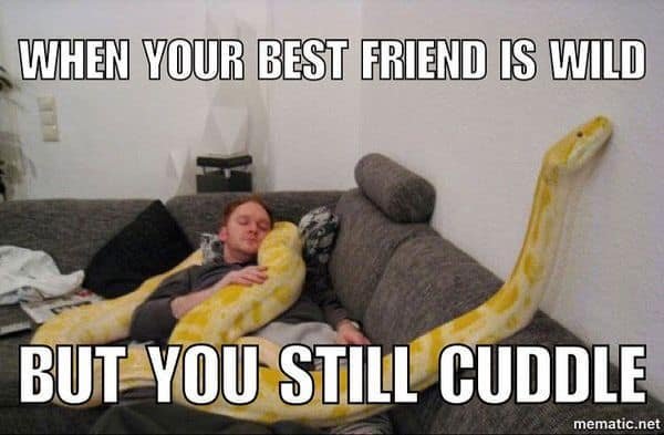 Best Friend Memes (31 pics)