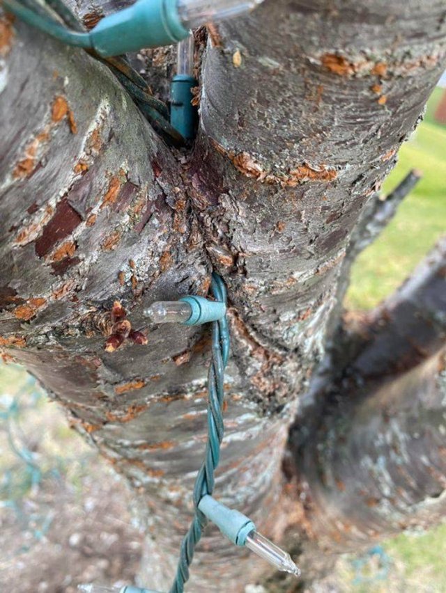 Awesome Things (52 pics)