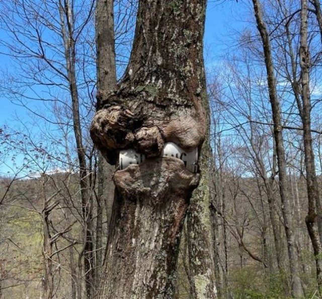 Awesome Things (52 pics)