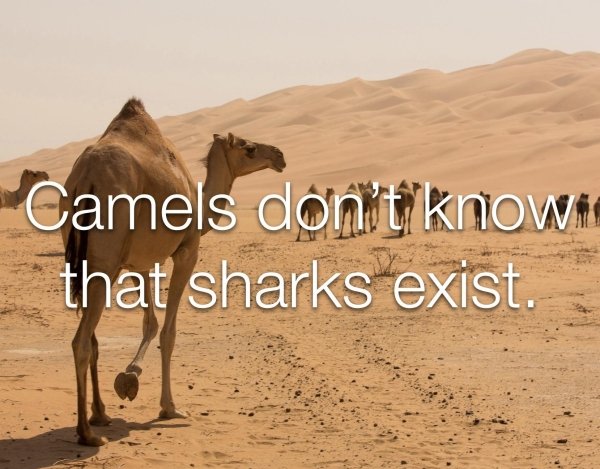 You Can't Even Argue (30 pics)