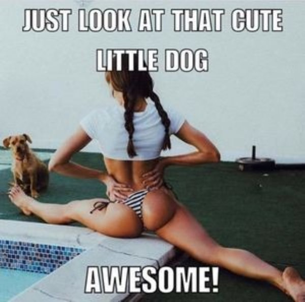 Grown-Ups Will Understand (48 pics)