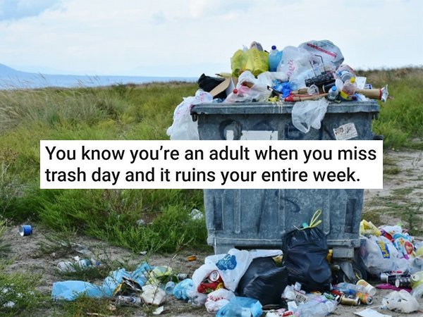 Shower Thoughts (19 pics)