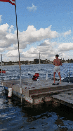 Acid Gifdump, January 7 (25 gifs)