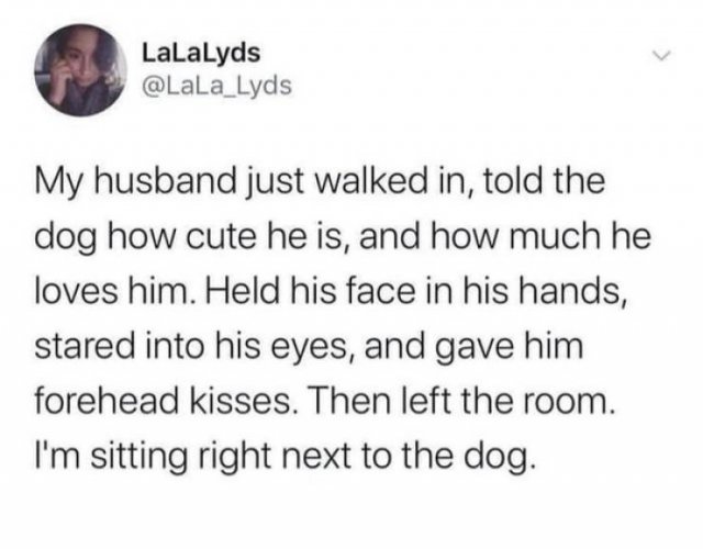 Wholesome Stories (49 pics)