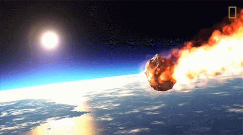 Curious Facts (14 gifs) Curious Facts (14 gifs)