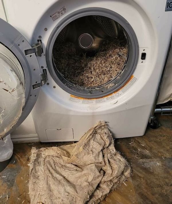 Bad Days Happen (26 pics)