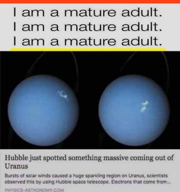 Memes For Grown-Ups (33 pics)