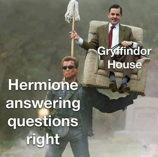Harry Potter Memes (33 pics)