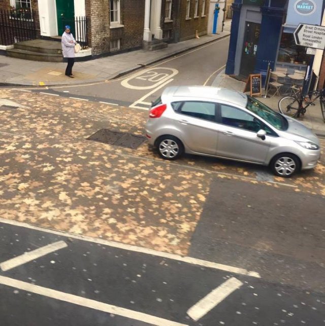 Matrix Mistake (32 pics)