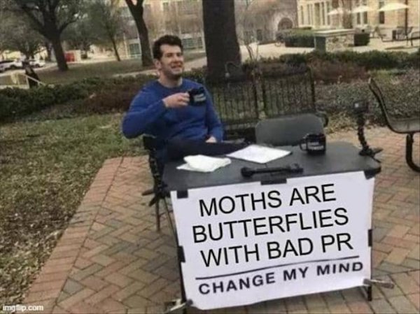 So True (38 pics)