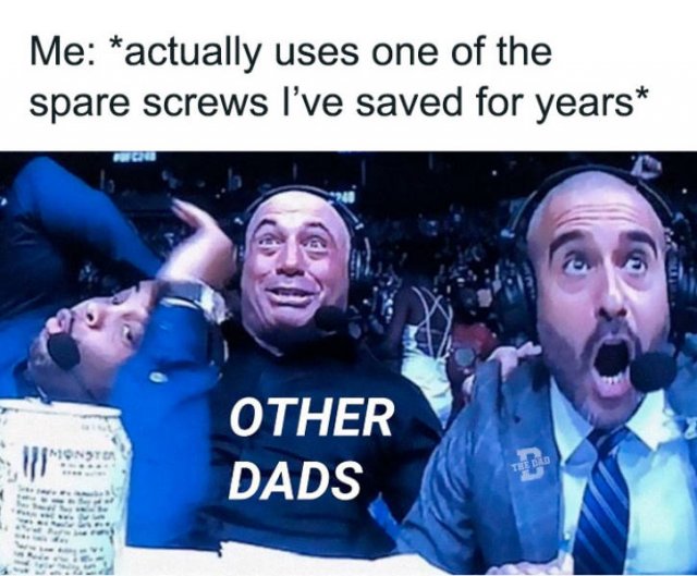 About Husbands And Dads (41 pics)