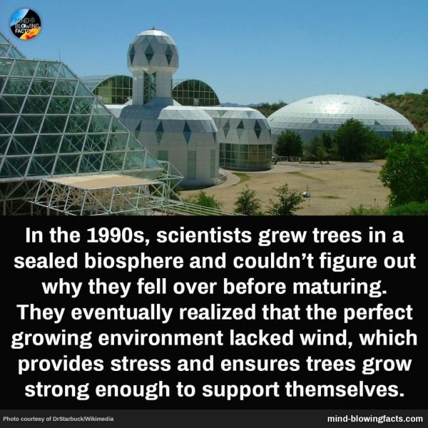 Curious Facts (30 pics)