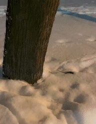 Acid Gifdump, January 14 (25 gifs)