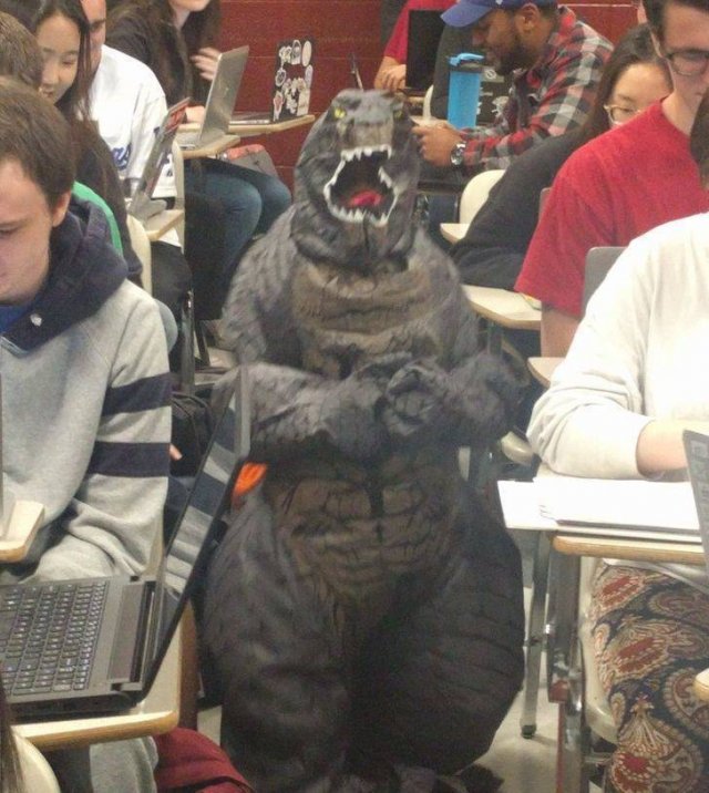 Funny Photos (34 pics)