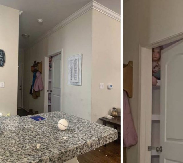 Funny Photos (34 pics)