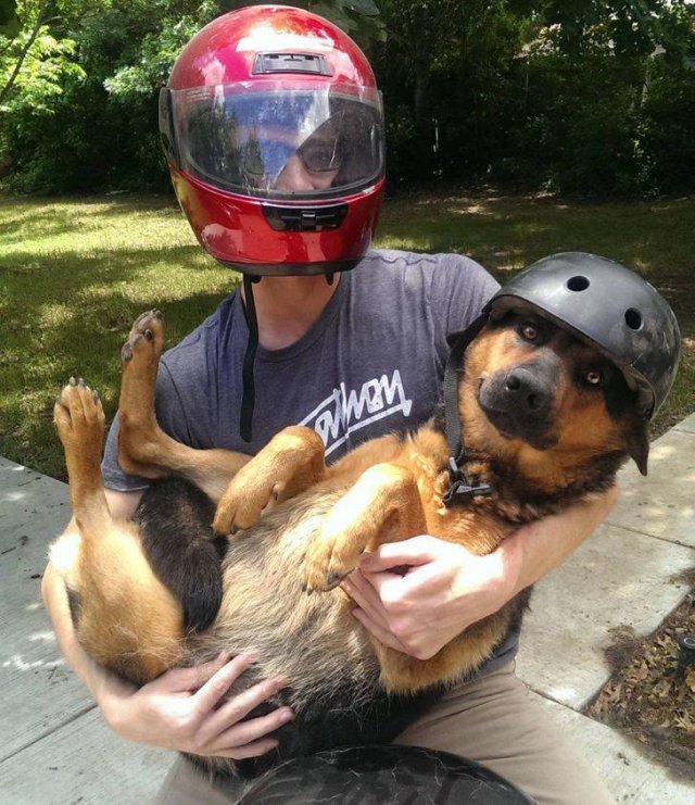 Funny Photos (34 pics)