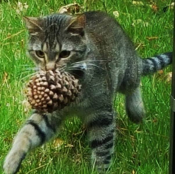 Funny Photos (34 pics)