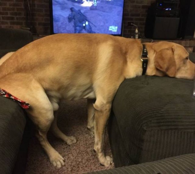 Funny Photos (34 pics)