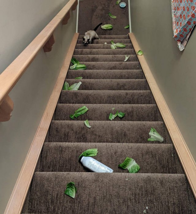 Bad Days Happen (17 pics)