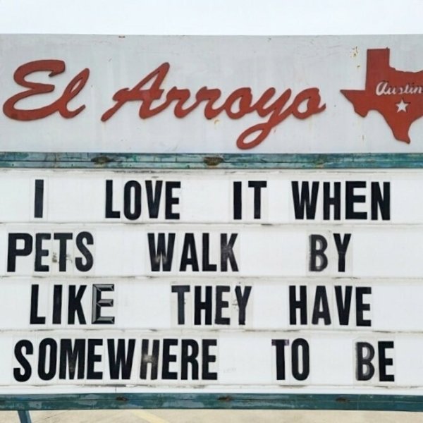 Hilarious Memes (32 pics)
