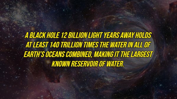 Curious Facts (17 pics)