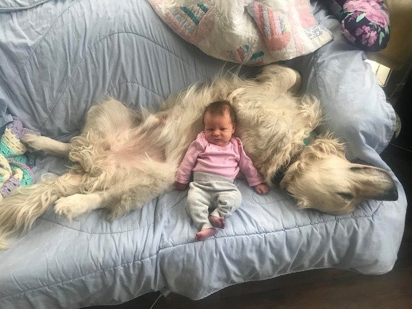 A Friendship Between Kids And Pets (18 pics) A Friendship Between Kids And Pets (18 pics)