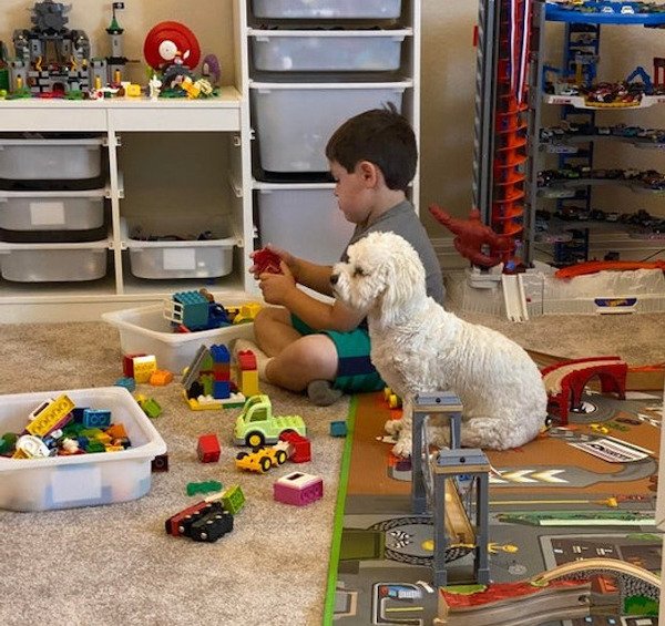 A Friendship Between Kids And Pets (18 pics) A Friendship Between Kids And Pets (18 pics)