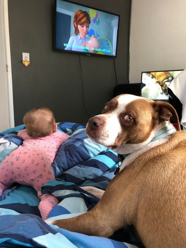 A Friendship Between Kids And Pets (18 pics) A Friendship Between Kids And Pets (18 pics)