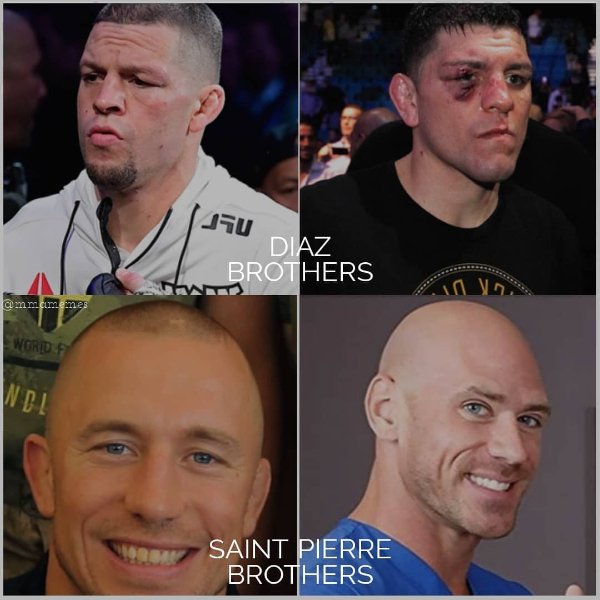 MMA Memes (22 pics)