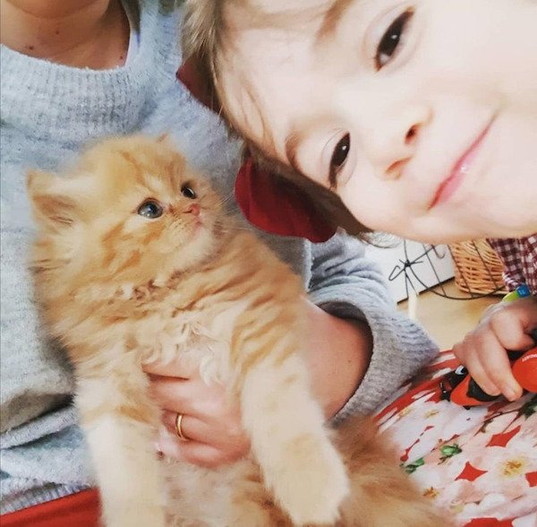 A Friendship Between Kids And Pets (18 pics) A Friendship Between Kids And Pets (18 pics)
