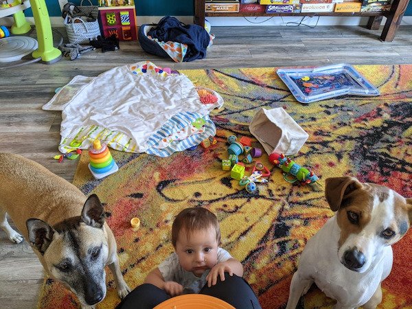 A Friendship Between Kids And Pets (18 pics) A Friendship Between Kids And Pets (18 pics)