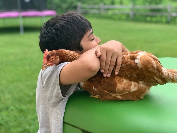 A Friendship Between Kids And Pets (18 pics)