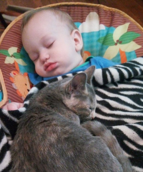 A Friendship Between Kids And Pets (18 pics) A Friendship Between Kids And Pets (18 pics)