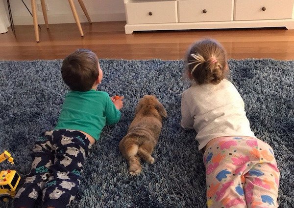A Friendship Between Kids And Pets (18 pics) A Friendship Between Kids And Pets (18 pics)