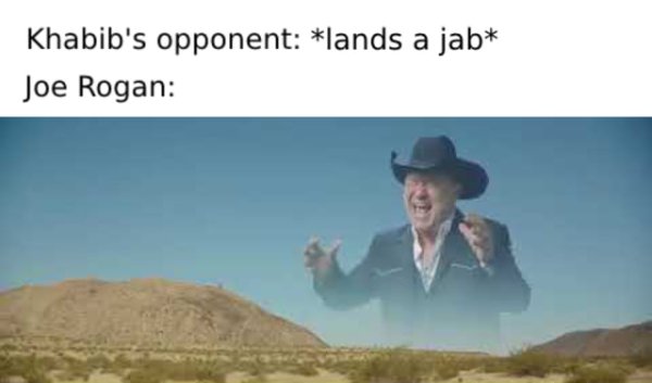MMA Memes (22 pics)
