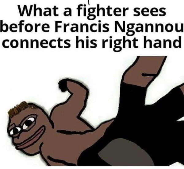 MMA Memes (22 pics)