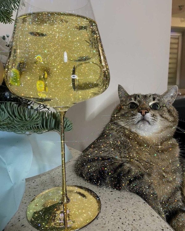 Hilarious Cats (29 pics)