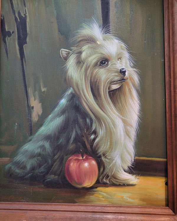 Thrift Shop Finds (28 pics)