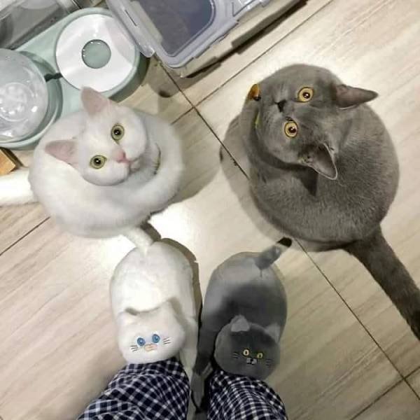 Acid Picdump. Part 1 (90 pics)