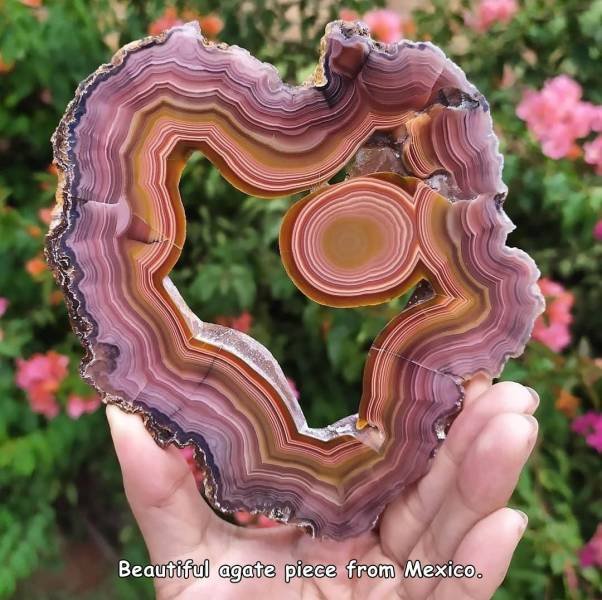 Acid Picdump. Part 1 (90 pics)
