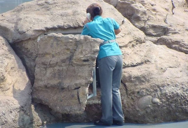 Acid Picdump. Part 1 (90 pics)